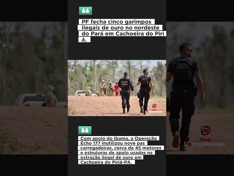 PF fecha cinco garimpos ilegais de ouro no nordeste do Pará em Cachoeira do Piriá. #short #shots