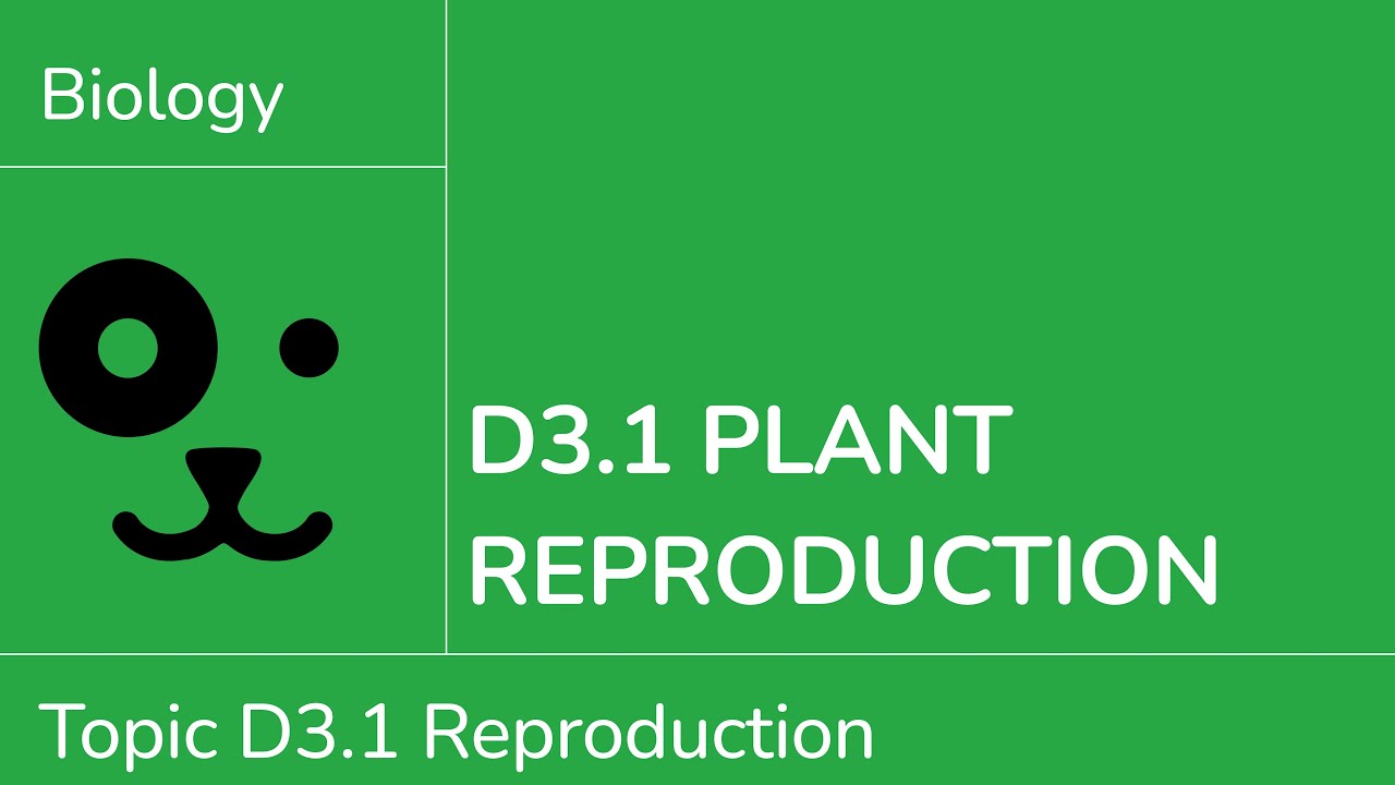 D3.1 Plant Reproduction [IB Biology SL/HL]