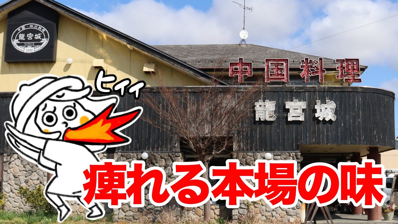 本格四川料理の痺れる辛さにKO寸前！陳建民の愛弟子から伝承した本格中国・四川料理の名店でたらふく食べた日【いなべ市/中国・四川料理龍宮城】【満腹Vlog】