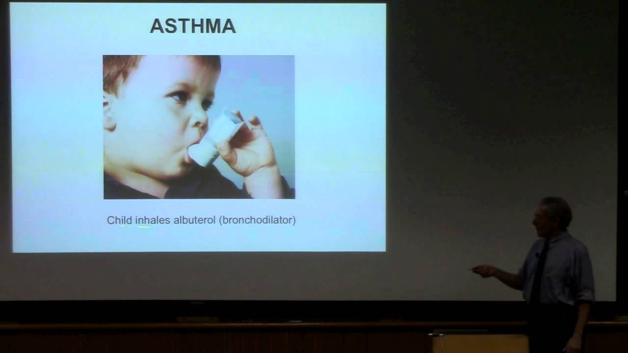 Science at Cal - Jeremy Thorner - The Mighty Single-Celled Yeast - YouTube