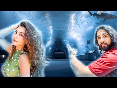 Exploring Europe’s Biggest Shark Tunnel