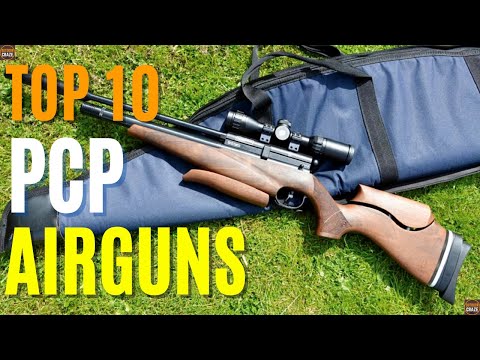Top 10 Best PCP Airguns For Hunting | Best Air Guns 2024
