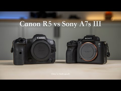 Canon R5 vs A7S III | Which Camera Is Better?