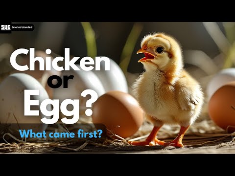Which Came First: The Chicken or the Egg? | Science Unveiled