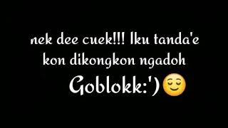 Download lagu Setory wa terbaru mp3