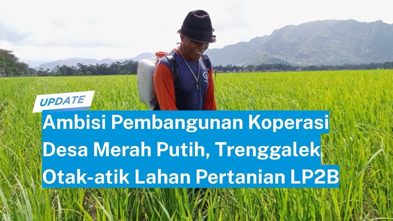 Ambisi Pembangunan Koperasi Desa Merah Putih, Trenggalek Otak-atik Lahan Pertanian LP2B