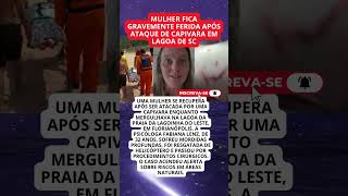Mulher é atacada por capivara em lagoa de Florianópolis e é resgatada de helicóptero