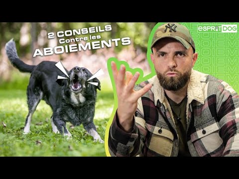 2 CONSEILS contre les ABOIEMENTS de votre chien !