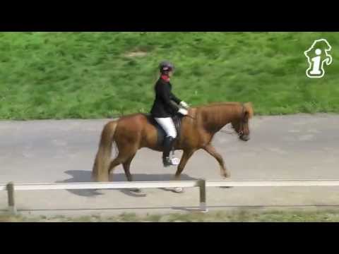 DIM 2013 - V1-VE Frauke Schenzel - www.isibless.de