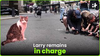 Download lagu Larry the cat welcomes his 7th PM Andy Burnham with a to do list mp3