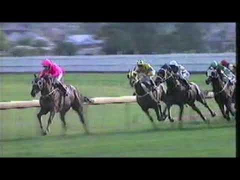 1992 Canterbury Guineas - Veandercross