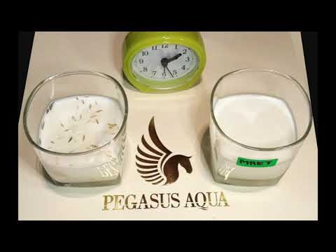 See the Difference! : Activated MILK vs Non-Activated MILK