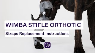 Download lagu WIMBA Stifle Orthosis | Straps Replacement Instructions mp3 Download lagu WIMBA Stifle Orthosis | Straps Replacement Instructions mp3