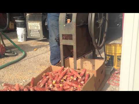 download lagu mp3 mp4 Corn Cleaner For Stove, download lagu Corn Cleaner For Stove gratis, unduh video klip Corn Cleaner For Stove