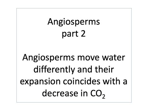 Angiosperms - evolution & co-evolution, part 2