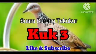 Download lagu Suara Burung Tekukur Kuk 3 Mantap.... mp3