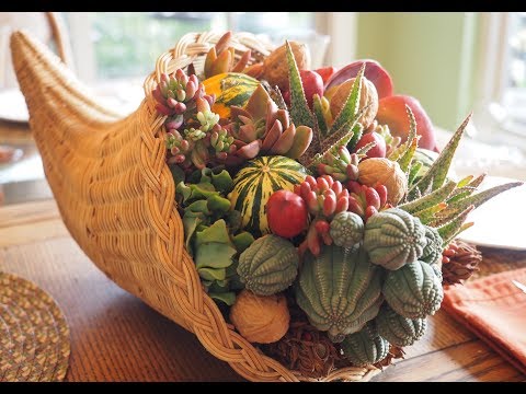 How to Make a Succulent Cornucopia Centerpiece, DIY