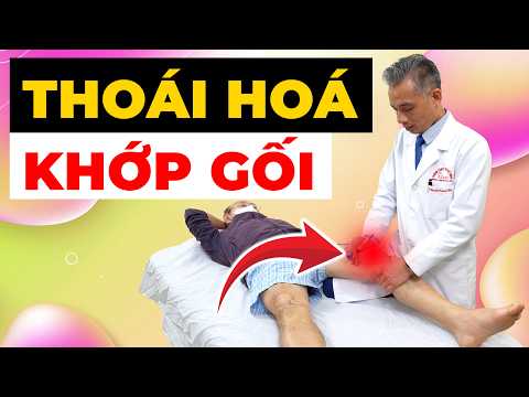 THOÁI HÓA KHỚP GỐI: 80% NGƯỜI ĐANG ĐIỀU TRỊ SAI CÁCH – KHỚP NGÀY CÀNG MÒN!