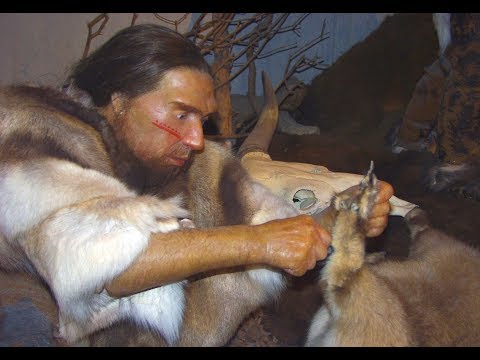 Der Neandertaler Code - Rätselhafte Urzeitjäger – Doku HD