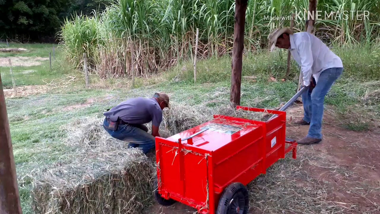 Como produzir  feno com a PRIMUS  ENFARDA FENO.