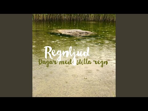 Stilla regn i trädgård