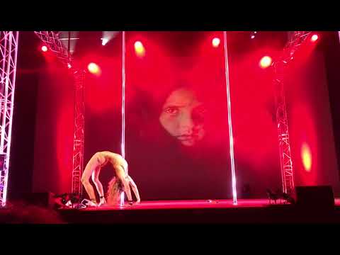 Rememberance day tribute with a difference by Robyn