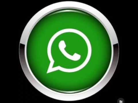 JIWILL - WHATSAPP (Raw)