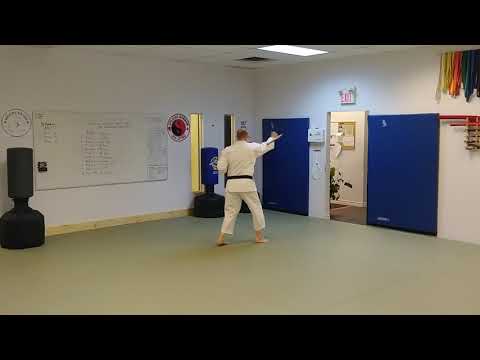 Shodan Tonfa