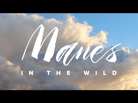 Manes in the Wild, Episode 2: This Will Be Our Year