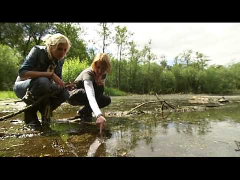 BuitenGewoon afl. 09 2010 Klein Billaard