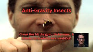 Anti-Gravity Bees WW2 research & Disinfo Operatives
