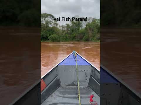 Ivaí #music #remix #song #pescaria #love