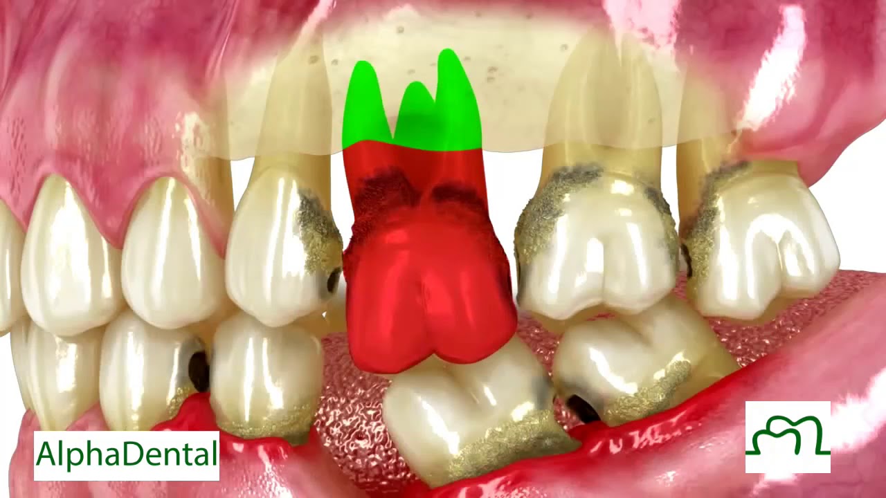 Pablo Gutiérrez López-9