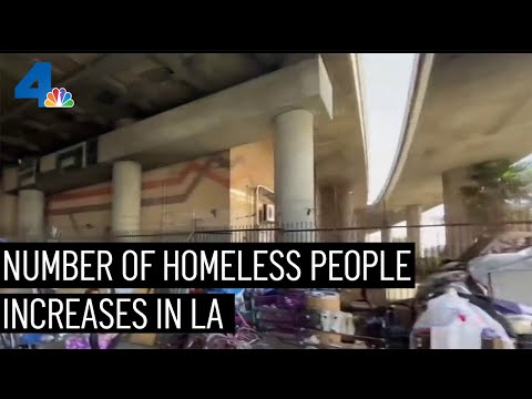 Increase in Homeless Population in Los Angeles - General - BreatheHeavy ...