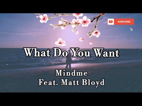 What Do You Want - Mindme (feat. Matt Bloyd), Lyrics/Lyric Video