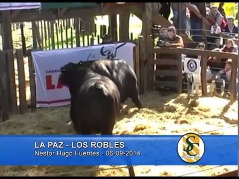 La Paz de Werthein - Ventas - Los Robles - 06/09/2014