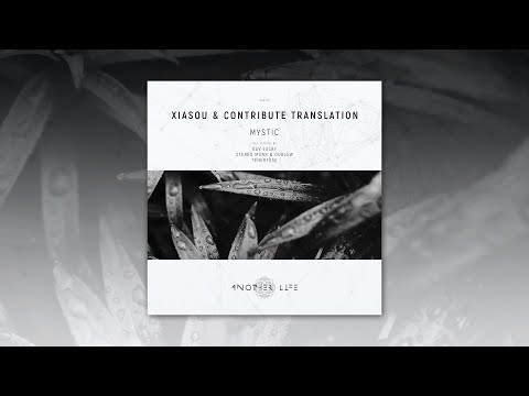 Xiasou & Contribute Translation - Mystic (Original Mix) [Another Life Music]
