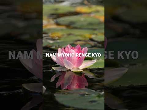 Nam Myoho Renge Kyo | Inner Peace | Meditation Mantra For Infinite Success #buddhism