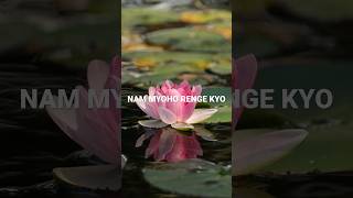 Nam Myoho Renge Kyo | Inner Peace | Meditation Mantra For Infinite Success #buddhism