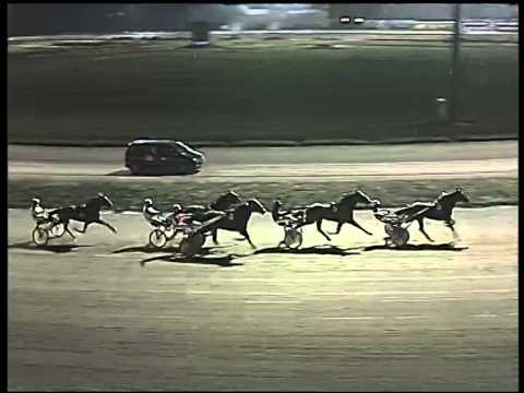 Trotto 31/12/2014 - 5° corsa