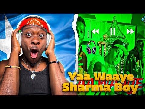 Abokor Boy Ft Sharma Boy /Yaa Waaye / 🇸🇴❤️( Official video ) REACTION