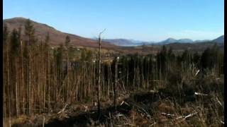 preview picture of video 'Aros Forest. Isle of Skye'