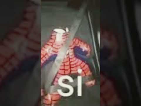 Si meme spiderman