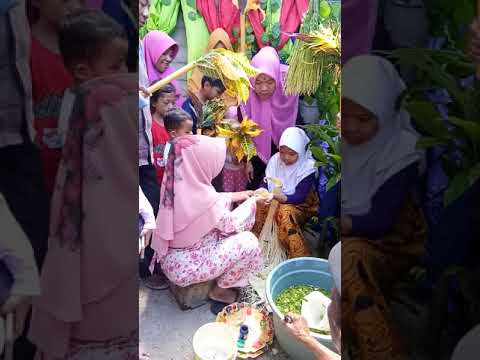 Moment Mandi Lemon li Tata Lareina