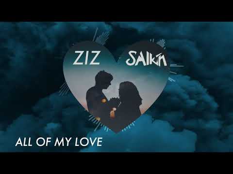ALL OF MY LOVE - SALKIN & ZIZ