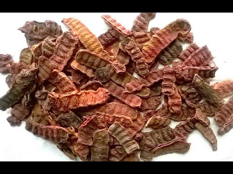 shikakai Acacia concinna Seeyakai