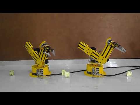 Multi Axis Robot