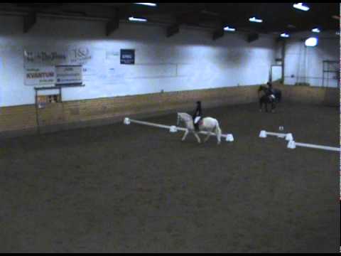 Klubbdressyr Caramelle och Malin