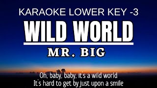 Download lagu Mr Big - Wild World (Karaoke Lower Key | Nada Rendah -3) mp3