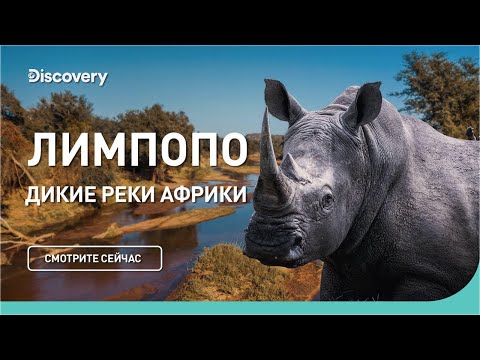 Лимпопо. Дикие реки Африки. Discovery